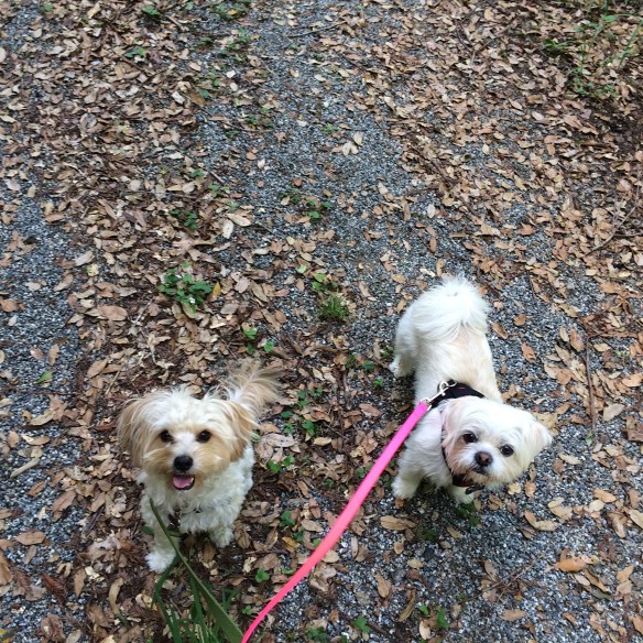 LLDora & Lupin at Loch Lomond